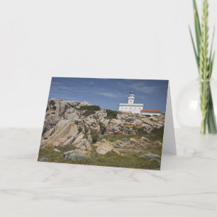 Cartes Pour Fêtes Annuelles Italie, Sardaigne, Père Noël Teresa Gallura. Capo