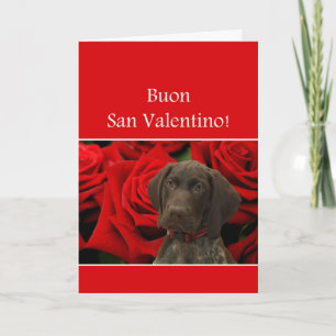 Cartes Pour Fêtes Annuelles Italien San Valentino Glossy Grizzly Valentine