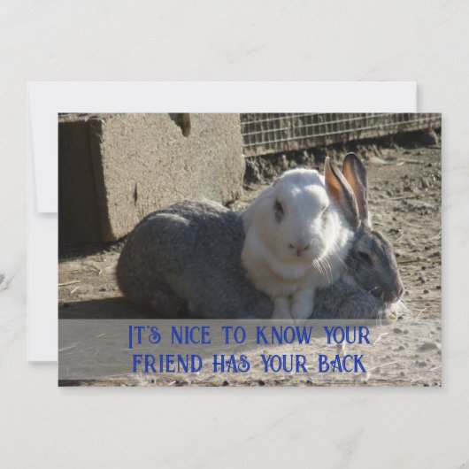 Cartes Pour Fêtes Annuelles it's nice to know ... (Devant)