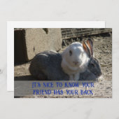 Cartes Pour Fêtes Annuelles it's nice to know ... (Devant / Derrière)