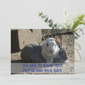 Cartes Pour Fêtes Annuelles it's nice to know ... (Debout devant)