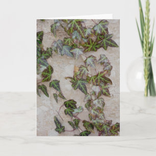 Cartes Pour Fêtes Annuelles Ivy sur le tronc d'arbre