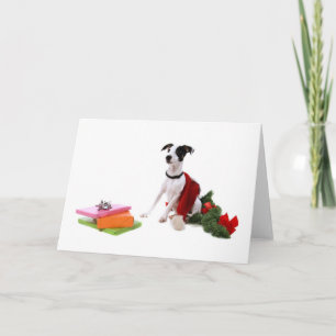 Cartes Pour Fêtes Annuelles jack russel et Christmas,