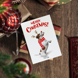 Cartes Pour Fêtes Annuelles Jack Russel Terrier Chien Rouge Nez Antlers Xmas
