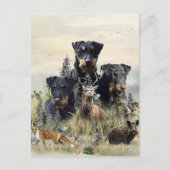 Cartes Pour Fêtes Annuelles Jagdterriers c. Renbrad Kennel (Devant)