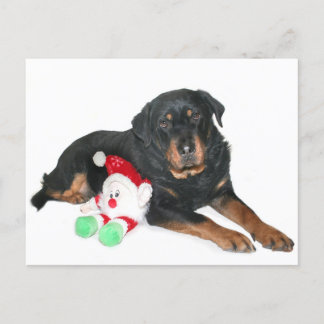 Cartes Pour Fêtes Annuelles J'ai été bon Père Noël