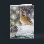 Cartes Pour Fêtes Annuelles J'ai mon oeil sur vous<br><div class="desc">Un cardinal féminin dans la neige semble garder son oeil sur l'autre oiseau.</div>