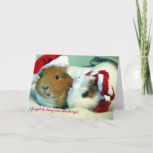 Cartes Pour Fêtes Annuelles J'ai oublié d'accrocher nos bas !