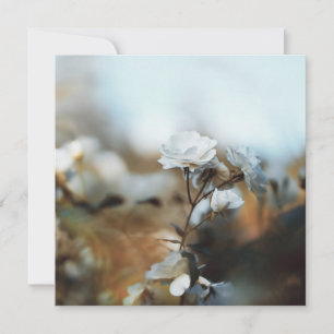 Cartes Pour Fêtes Annuelles Jardin de roses blanches rêveur avec un bokeh vint