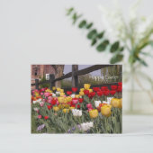 Cartes Pour Fêtes Annuelles Jardin de Tulip Joyeux Pâques (Debout devant)