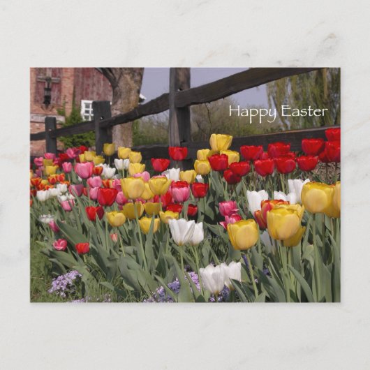 Cartes Pour Fêtes Annuelles Jardin de Tulip Joyeux Pâques (Devant)