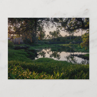 Cartes Pour Fêtes Annuelles Jardin hawaïen Waikoloa