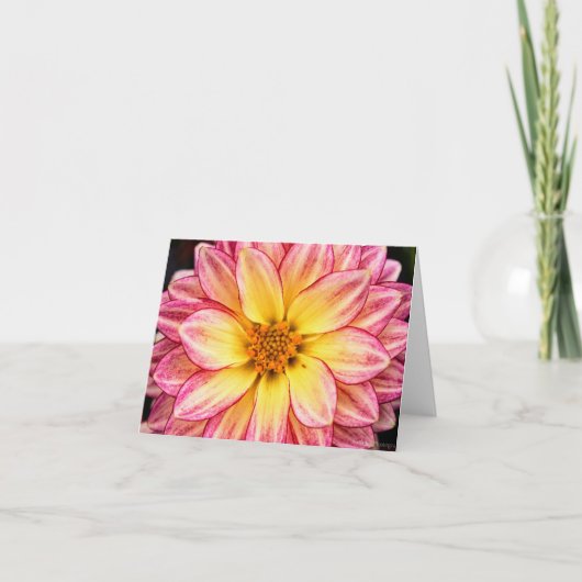 Cartes Pour Fêtes Annuelles Jardin Tie Dye Rose Daliha Vue rapprochée  (Devant)