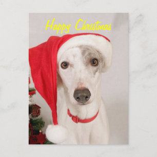 Cartes Pour Fêtes Annuelles Jasper le chien de Noël