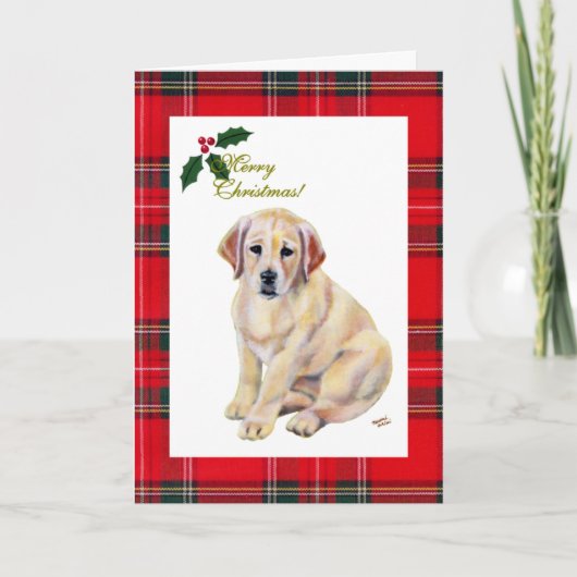 Cartes Pour Fêtes Annuelles Jaune Labrador Chiot Tartan Noël (Devant)