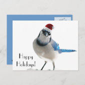 Cartes Pour Fêtes Annuelles Jay bleu (Devant / Derrière)