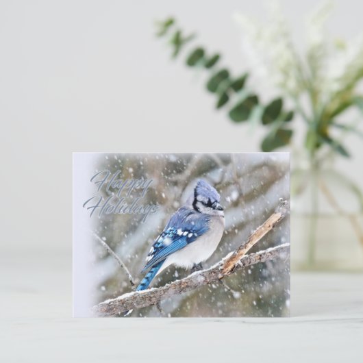 Cartes Pour Fêtes Annuelles Jay Bleu en Noël de neige (Debout devant)