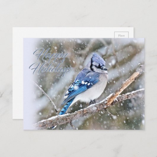 Cartes Pour Fêtes Annuelles Jay Bleu en Noël de neige (Devant / Derrière)