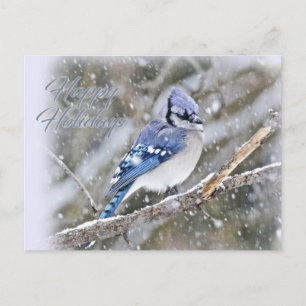 Cartes Pour Fêtes Annuelles Jay Bleu en Noël de neige