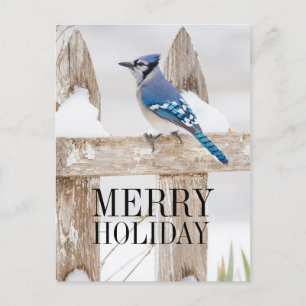 Cartes Pour Fêtes Annuelles Jay Bleu perché sur la clôture de neige