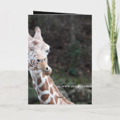 Cartes Pour Fêtes Annuelles Je t'aime (Dos)