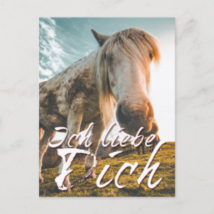 Cartes Pour Fêtes Annuelles Je t'aime avec un cheval qui regarde