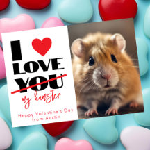 Je t'aime mon hamster drôle Saint Valentin