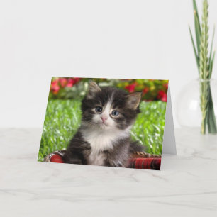 Cartes Pour Fêtes Annuelles Je Vous Aime Comme Vous Êtes