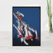 Cartes Pour Fêtes Annuelles Je Vous Souhaite Un Joyeux Noël Berry ! (Devant)