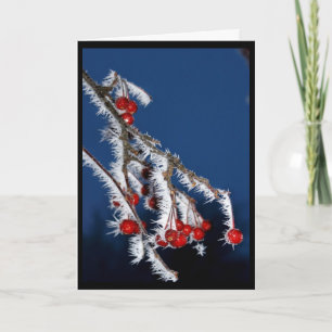 Cartes Pour Fêtes Annuelles Je Vous Souhaite Un Joyeux Noël Berry !