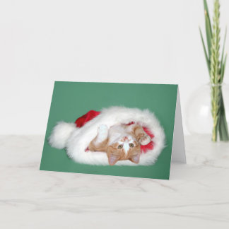 Cartes Pour Fêtes Annuelles J'essaie d'être bon