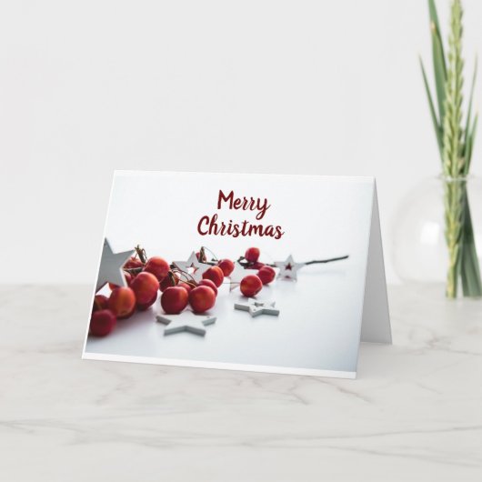 CARTES POUR FÊTES ANNUELLES *JETEZ NOËL* POUR TOUS CETTE ANNÉE ! FÊTES (Devant)