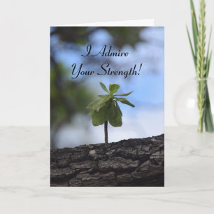 Cartes Pour Fêtes Annuelles Jeune arbre qui pousse à partir d'un journal