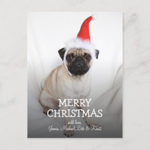 Cartes Pour Fêtes Annuelles Jeune carlin portant le chapeau de Père Noël