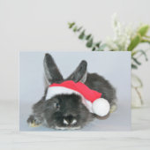 Cartes Pour Fêtes Annuelles Jeune lapin de Noël (Debout devant)