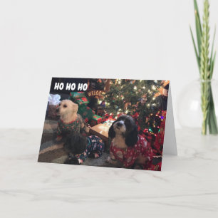 CARTES POUR FÊTES ANNUELLES **JEUX VACANCES** DE MERRY PUPPIES