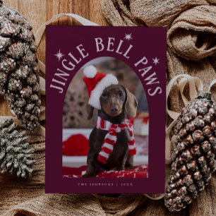 Cartes Pour Fêtes Annuelles Jingle Bell Paws Chien Photo Canneberge Noël