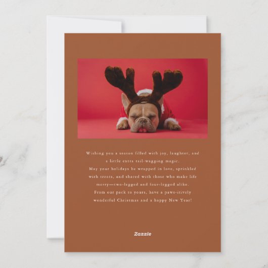 Cartes Pour Fêtes Annuelles Jingle Bell Paws Chien Photo Terracotta Noël (Dos)