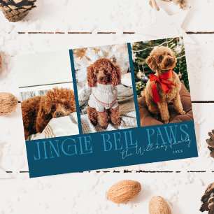 Cartes Pour Fêtes Annuelles Jingle Bell Paws Noël Teal Photo de Chien