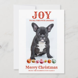 Cartes Pour Fêtes Annuelles Joie de Noël pour chien personnalisée pour les qua