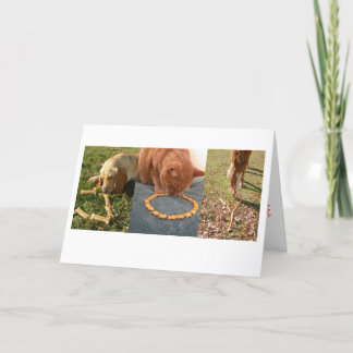 Cartes Pour Fêtes Annuelles JOIY animaux
