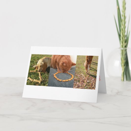 Cartes Pour Fêtes Annuelles JOIY animaux (Devant)