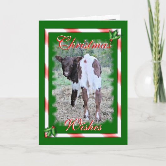 Cartes Pour Fêtes Annuelles JoleeChristmas-personnaliser (Devant)