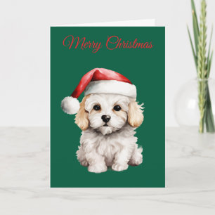 Cartes Pour Fêtes Annuelles Joli Bichon Frise à Noël