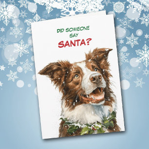 Cartes Pour Fêtes Annuelles Joli Border Collie cherche le Père Noël