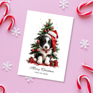 Cartes Pour Fêtes Annuelles Joli Bordure Collie Noël Chiot Personnalisé