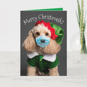 Cartes Pour Fêtes Annuelles Joli caniche avec masque facial - Joyeux Christmas