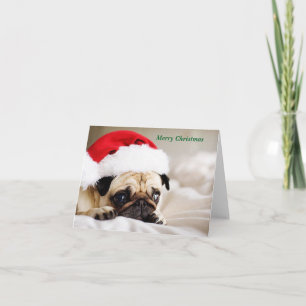 Cartes Pour Fêtes Annuelles Joli Carlin de Noël Puppy