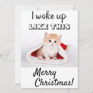 Cartes Pour Fêtes Annuelles Joli Chat Je me suis réveillé...Photo Rouge