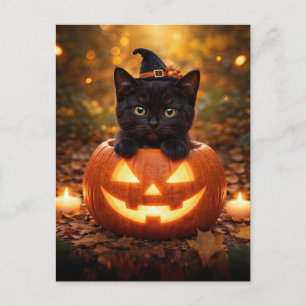 Cartes Pour Fêtes Annuelles Joli chat noir et citrouille d'Halloween